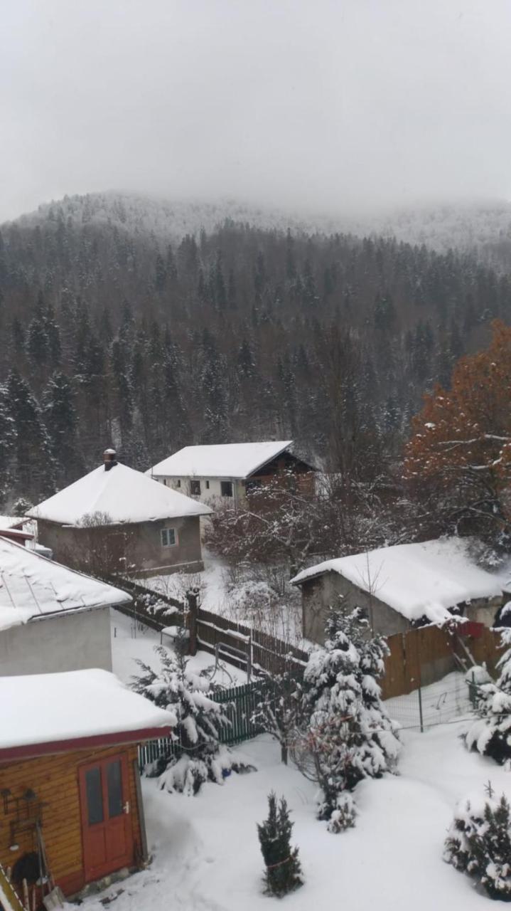 Vila Jolie Hotel Azuga Kültér fotó